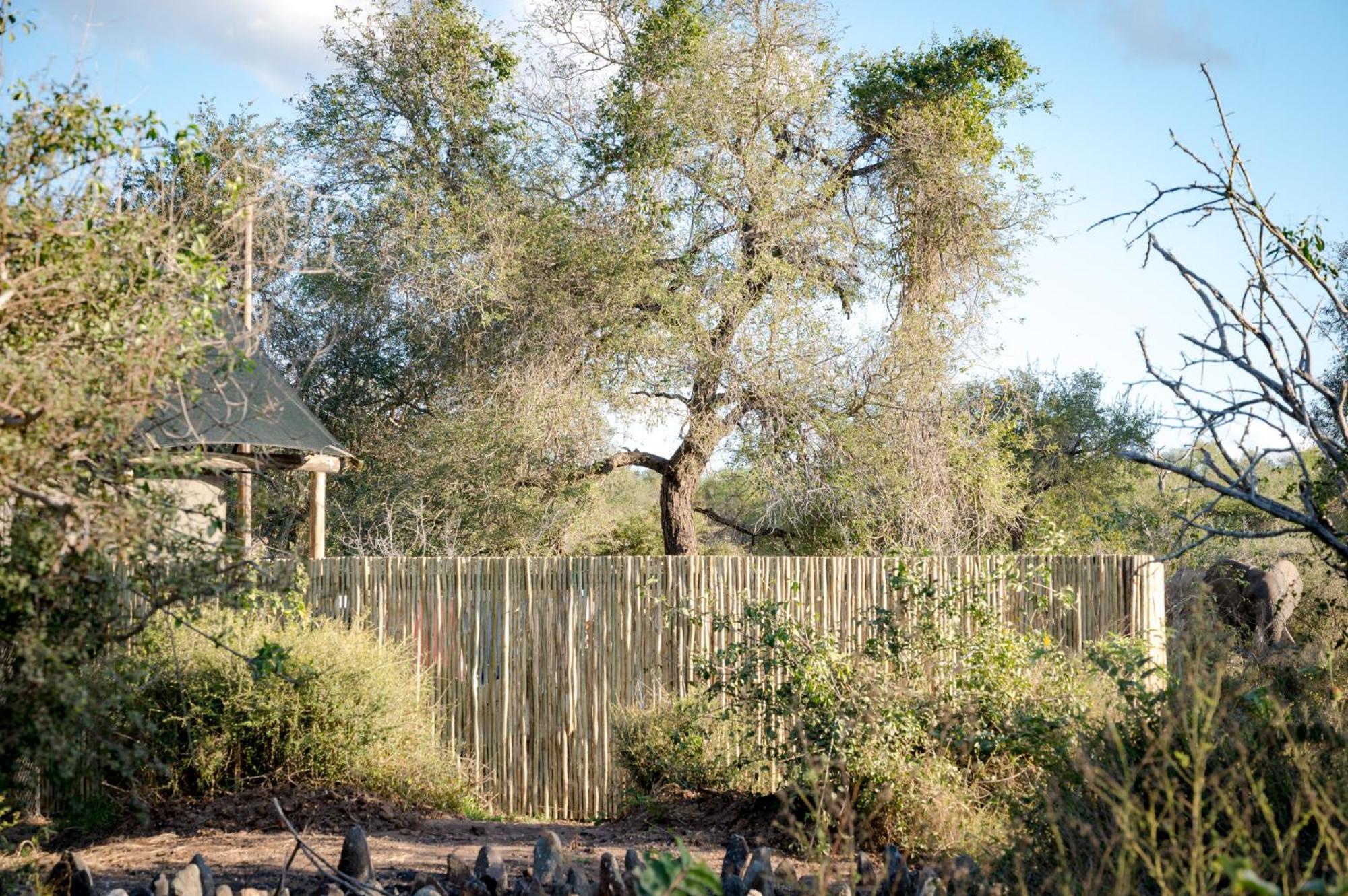 Nkuhlu Tented Camp سكوكوزا المظهر الخارجي الصورة